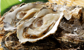 牡蠣(カキ)